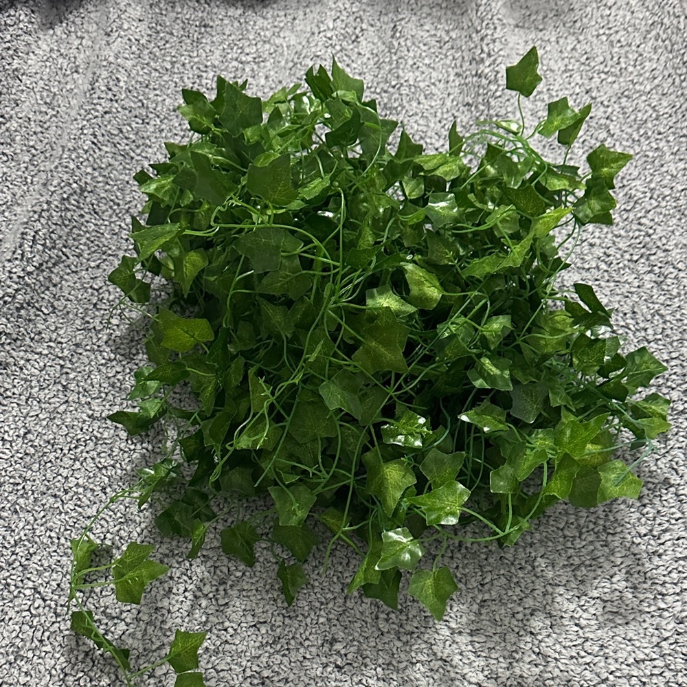 Big Bundle of Room Decor Vines